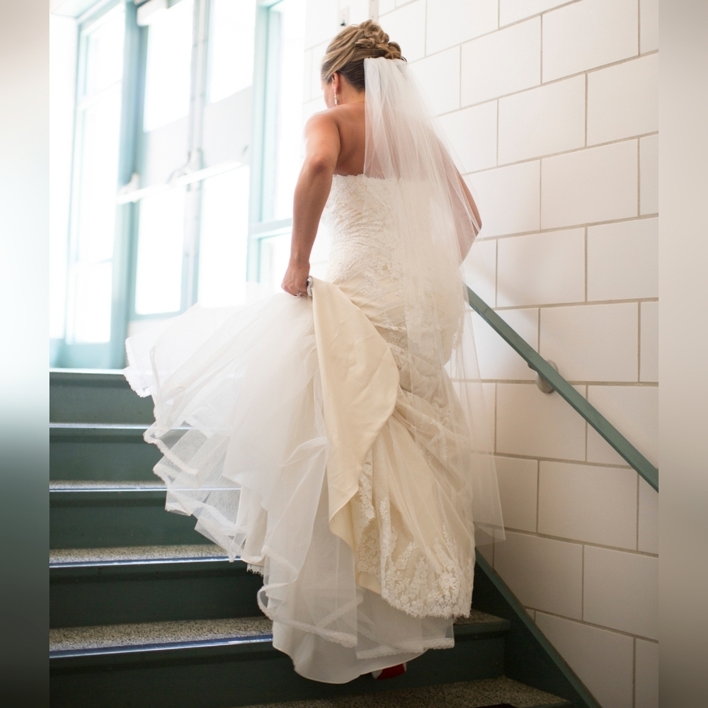 Matthew Christopher | Sophia Wedding Gown & Veil Size 14 - Picture 4 of 16